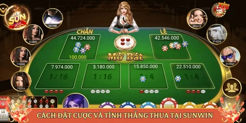 Cách Đặt Cược Và Tính Thắng Thua Tại Sunwin